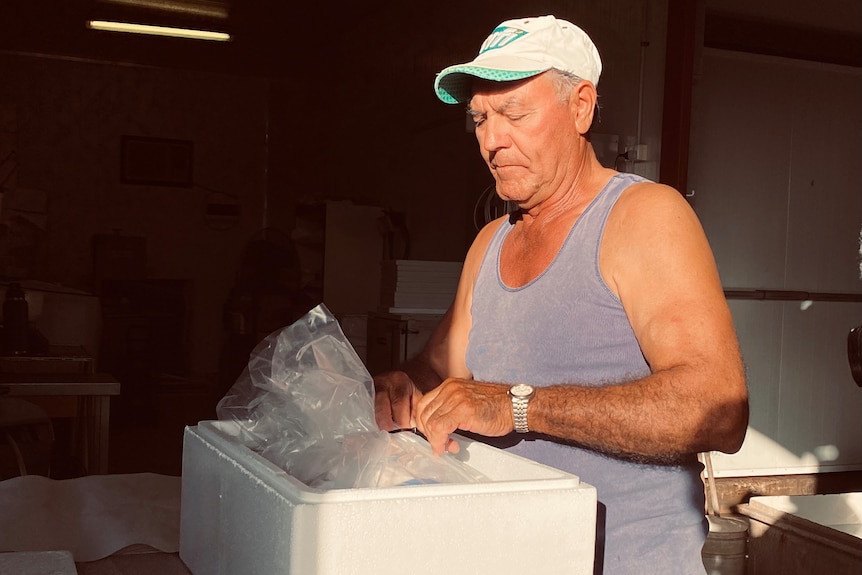 A man in a blue singlet stands with packets of seafood going into a white box. 