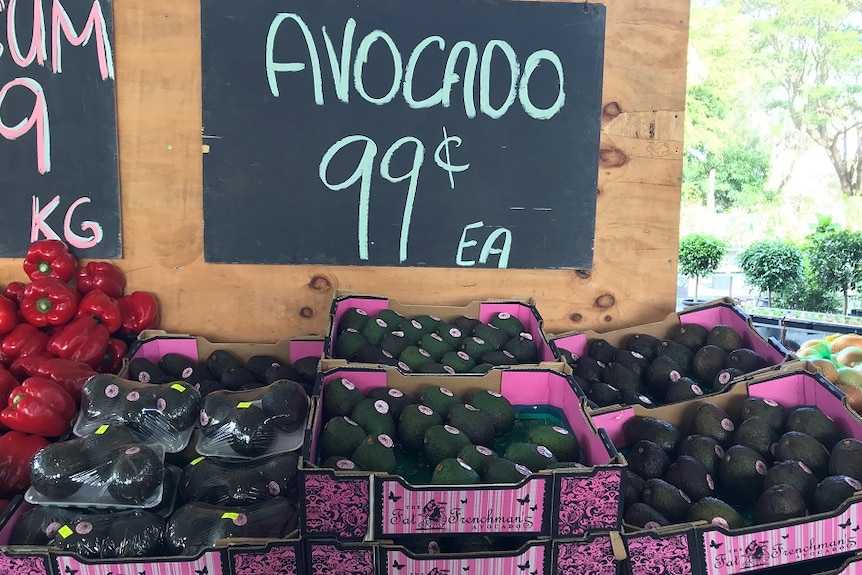 Avocados at local markets in Central Queensland are as cheap as 99 cent per avocado.