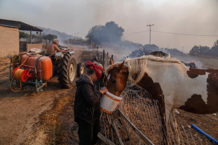 A woman gives water to her horse as her husband on a tractor tries to extinguish a fire.