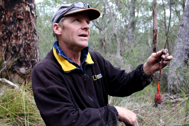 A man in a forest.