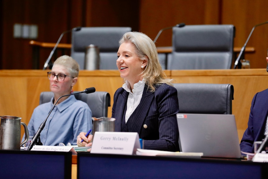 Bridget McKenzie sitting in front of a small microphone at the inquiry, smiling. 