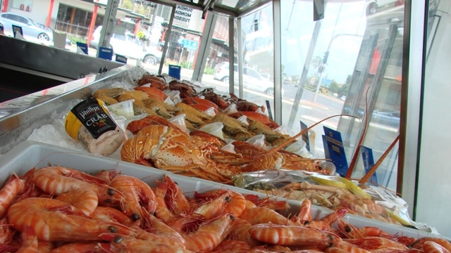 Beautiful, fresh seafood ready for sale in a Cairns retail outlet