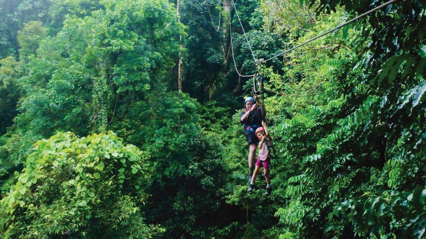 In a lush green forest, a man and girl and individually harnessed as they swing across a flying fox suspended in the air.