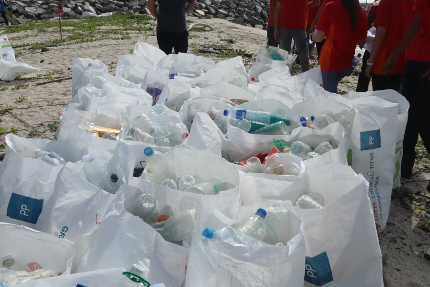 More than a dozen plastic bags full of plastic bottles on a beach