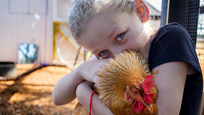 A 10 year old girl holding a brown chicken