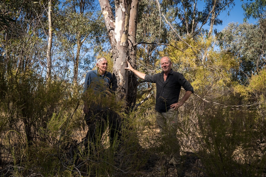 two men lean against a tree surrounded by thick scrub.