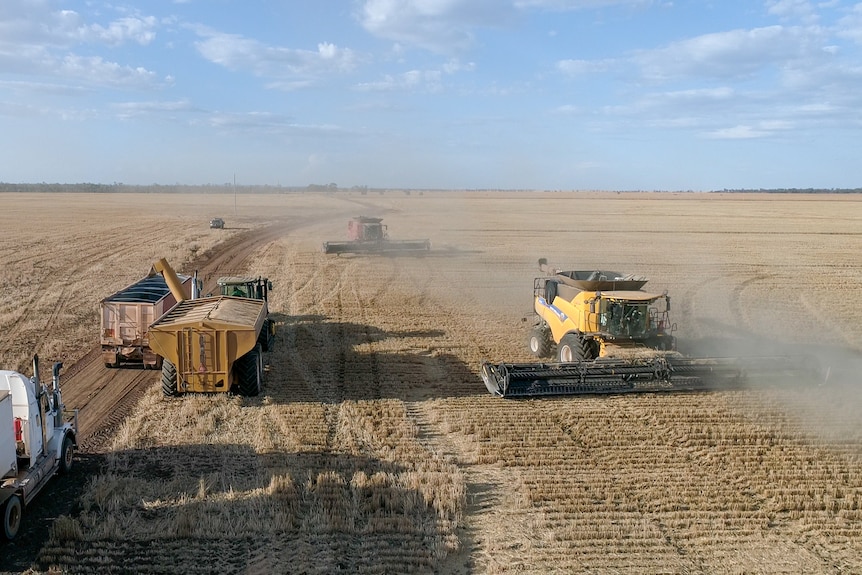 Headers, trucks and tractors operate on wheat paddock near Inglestone, southern Queensland, October 2021.