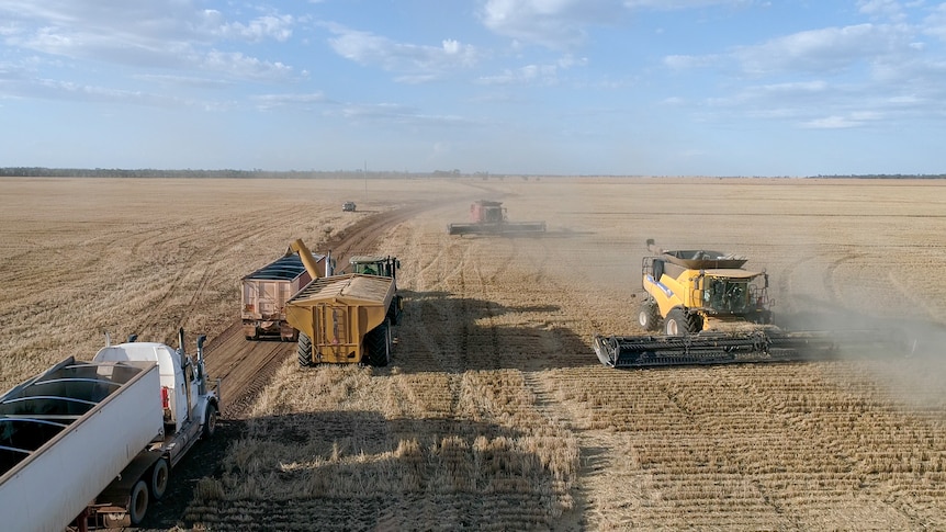 Headers, trucks and tractors operate on wheat paddock near Inglestone, southern Queensland, October 2021.