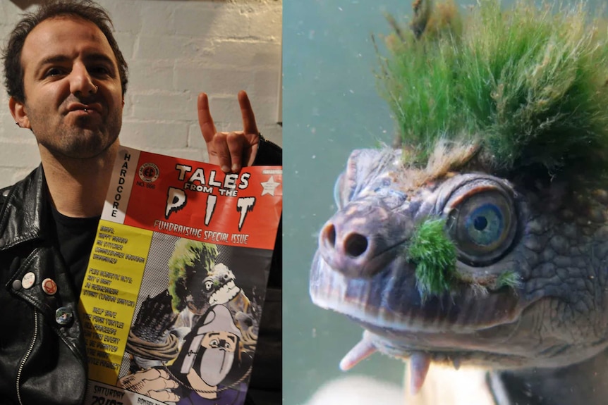 Punk man and turtle with moss mohawk.