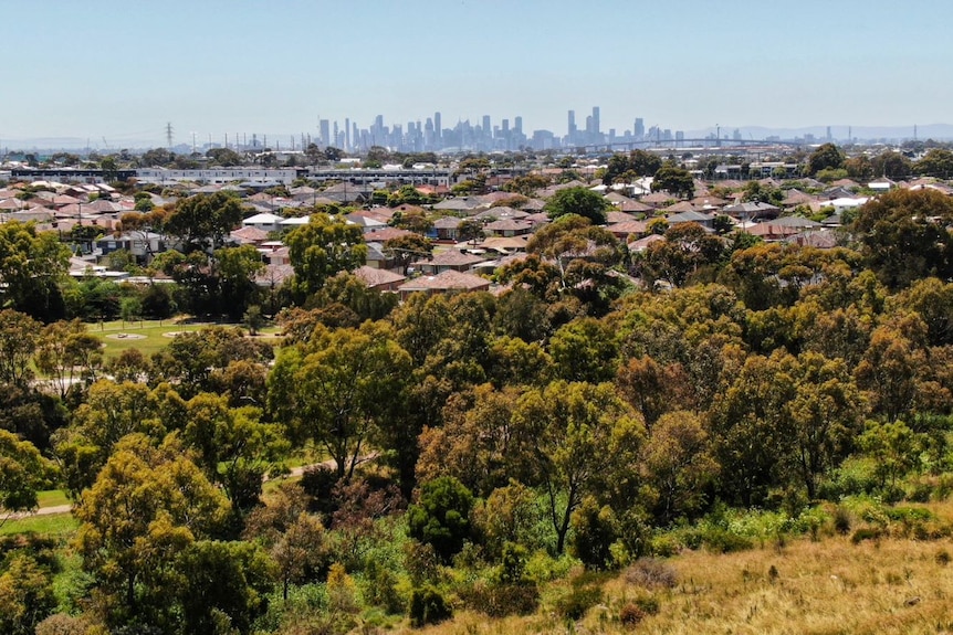 A picture from the air of a park in front of homes, a train line, the Westgate Bridge and the city skyline