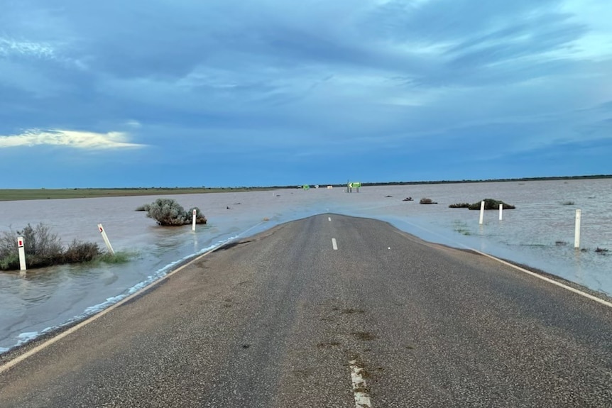 A road that ends underwater. blue grey sky with bushes with water.