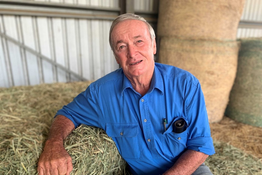 Man with grey wearing a blue shirt sitting on a bale of hay, there is more hay in the background.