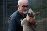 Manfred Zabinskas pats a roo as the animal rests a paw against his rescuer's chest.