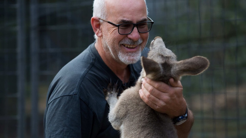 Manfred Zabinskas pats a roo as the animal rests a paw against his rescuer's chest.