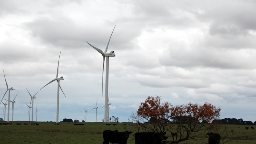 A generic image of a wind turbine near farmland.