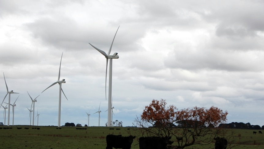 Wind turbines and power lines in a farming region