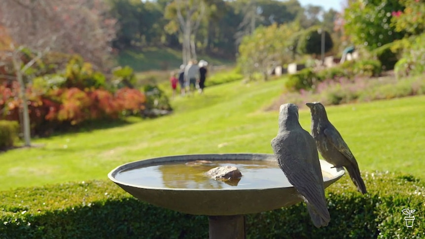 A birdbath with bird statues on the bath in a large garden.