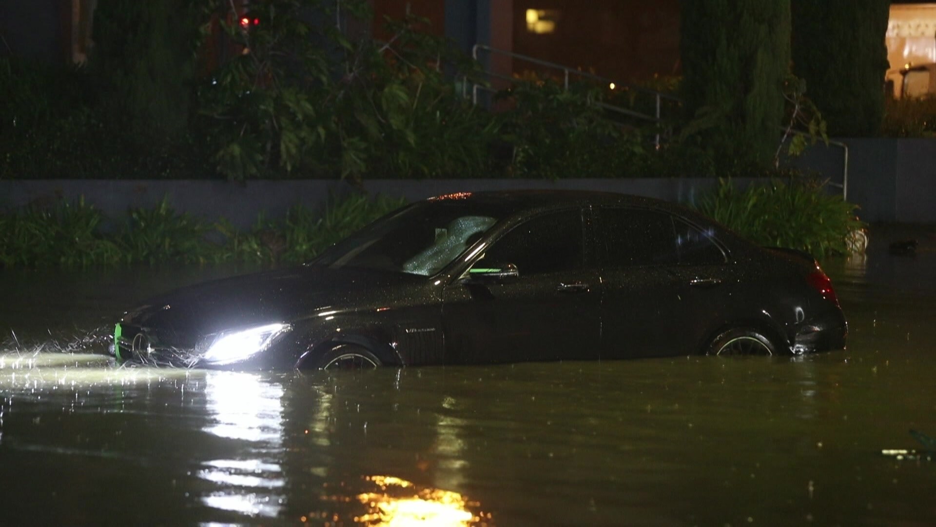 Play Video. Duration: 1 minute 37 seconds