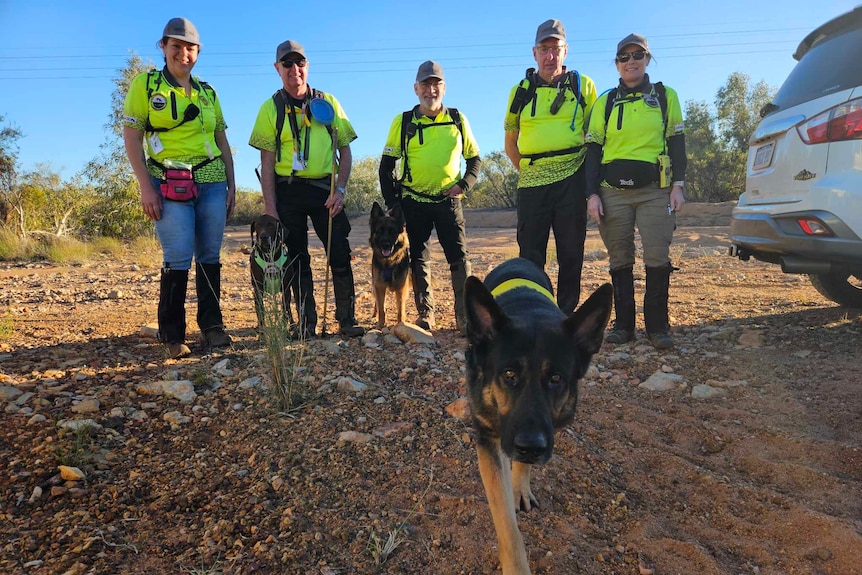 A group of people in high-vis with search dogs standing in the outback.