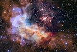 An image of the cluster Westerlund 2 and its surroundings