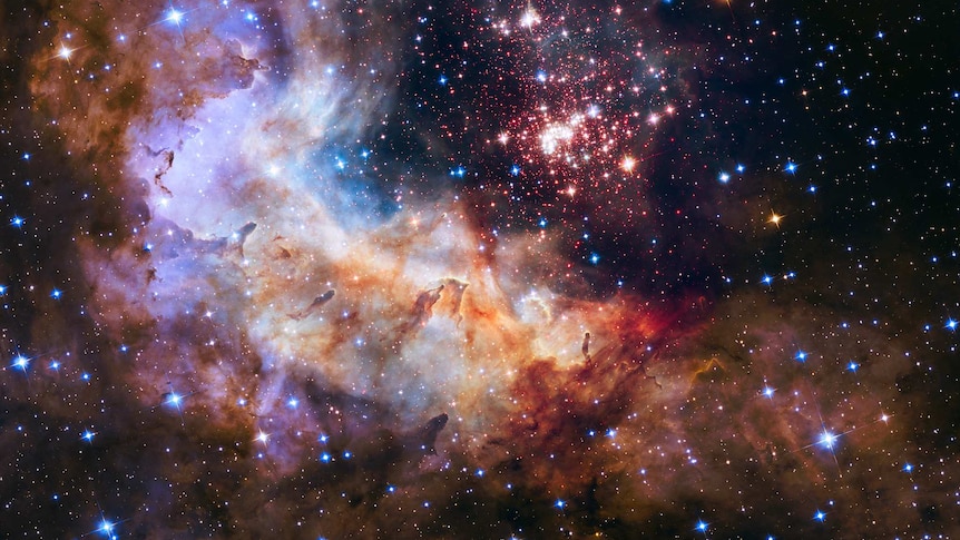 An image of the cluster Westerlund 2 and its surroundings