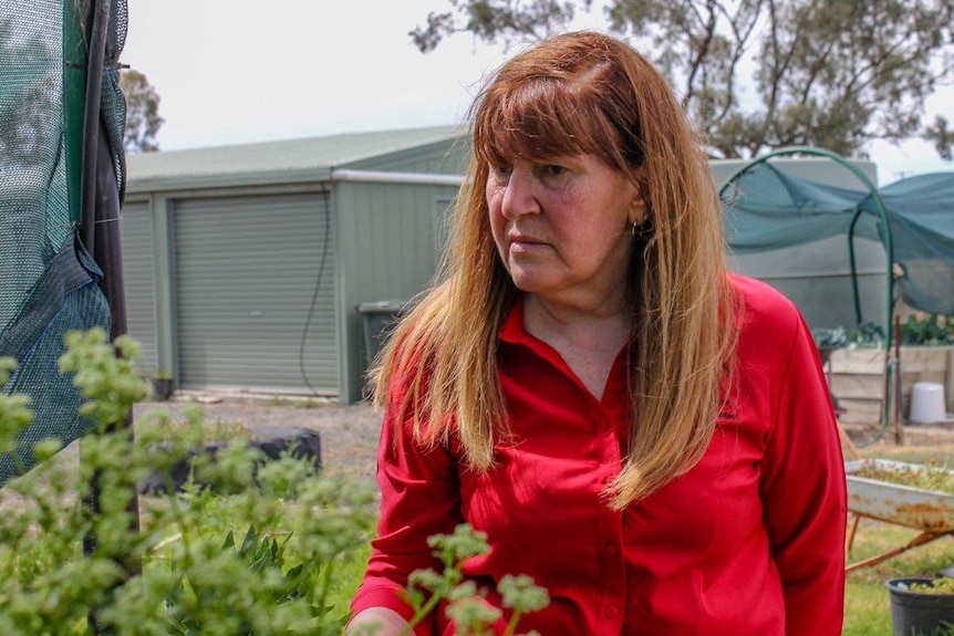 A woman inspects plants.