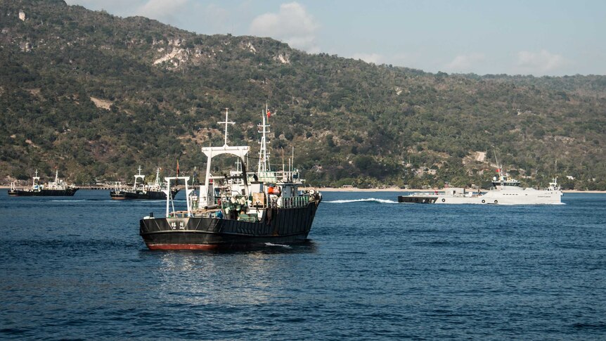 The Sea Shepherd's Ocean Warrior ship is pictured near three other vessels.