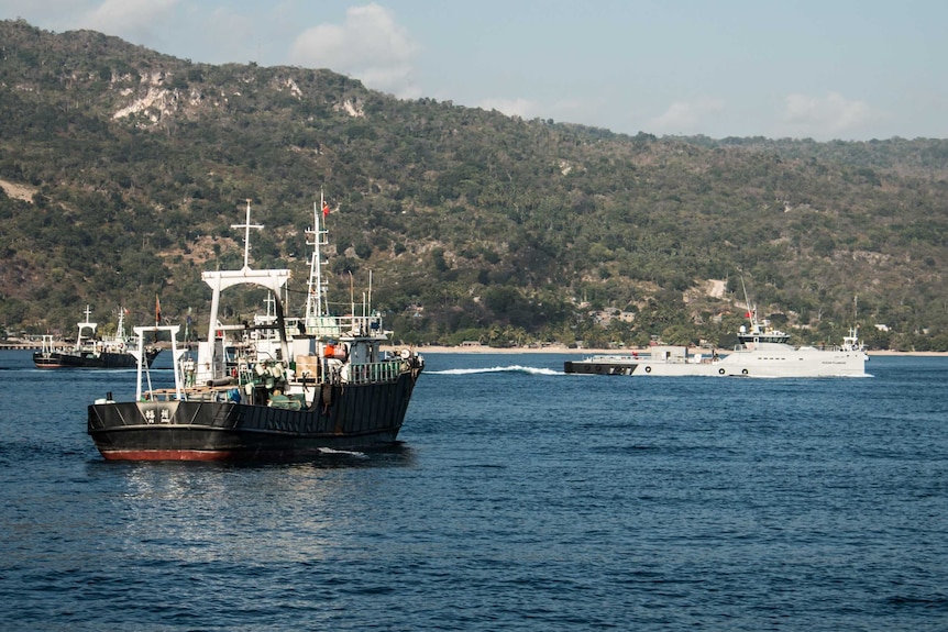 The Sea Shepherd's Ocean Warrior ship is pictured near three other vessels.