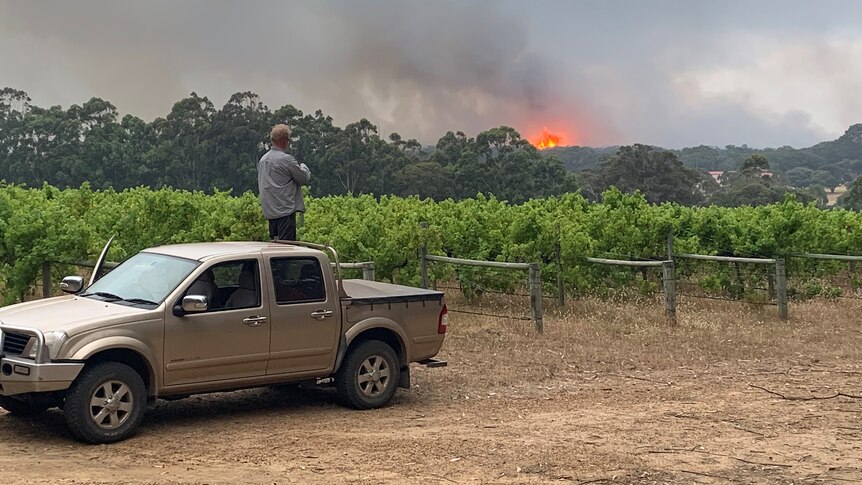 Jesse's uncle on the back of a ute, looking out at a bushfire.