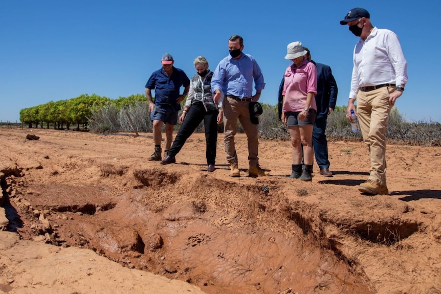 People standing on bare soil on a farm.