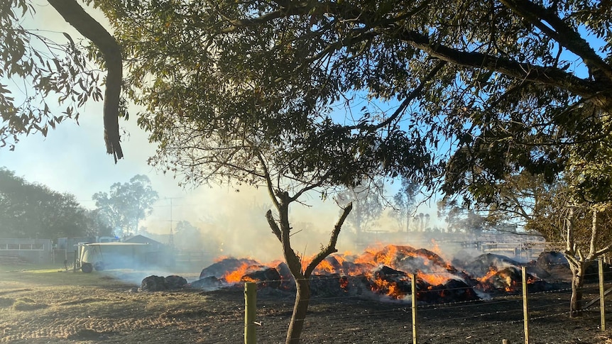 A pile of burning grassland behind a fence with a tree overhanging.