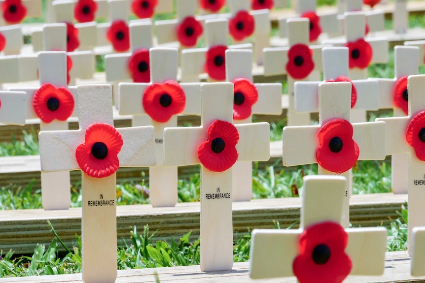 Paper poppies attached to crosses in remembrance of the 172 Townsville soldiers who lost their lives in World War I.