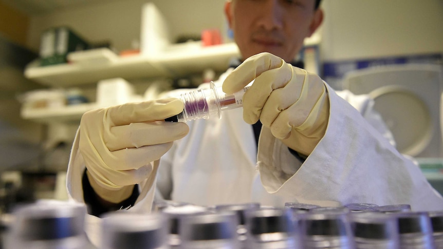 A technician holds blood samples about to be tested.
