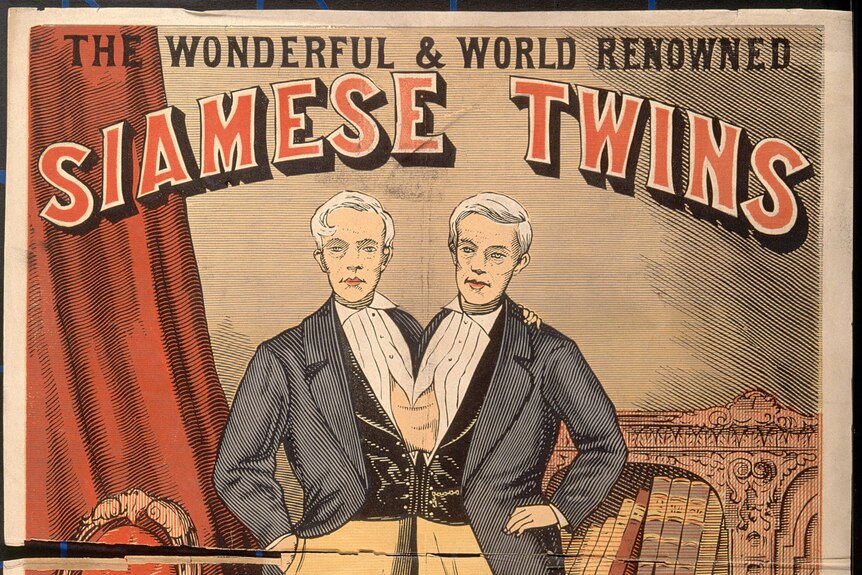 A poster of two men joined at the abdoment which says The Wonderful World Renowned Siamese Twins Chang-Eng