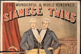 A poster of two men joined at the abdoment which says The Wonderful World Renowned Siamese Twins Chang-Eng