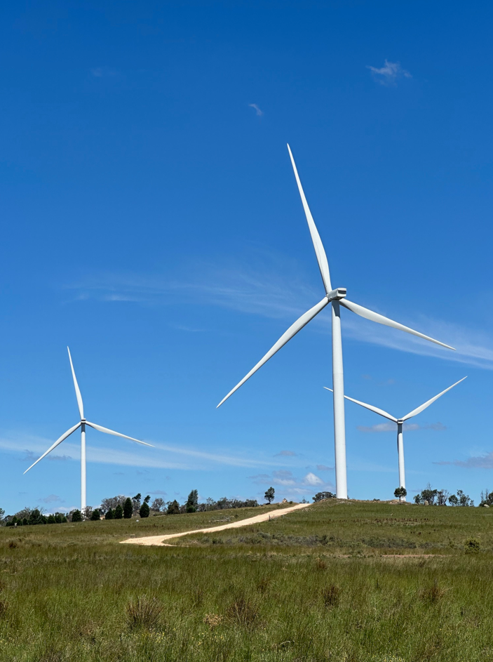 A wind farm pictured near Dubbo.