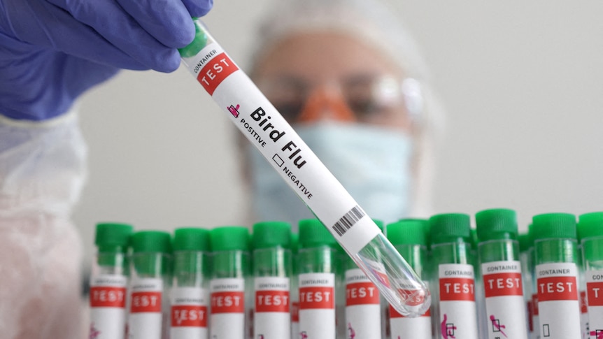 a scientist hold up a test tube that says 'bird flu' on it