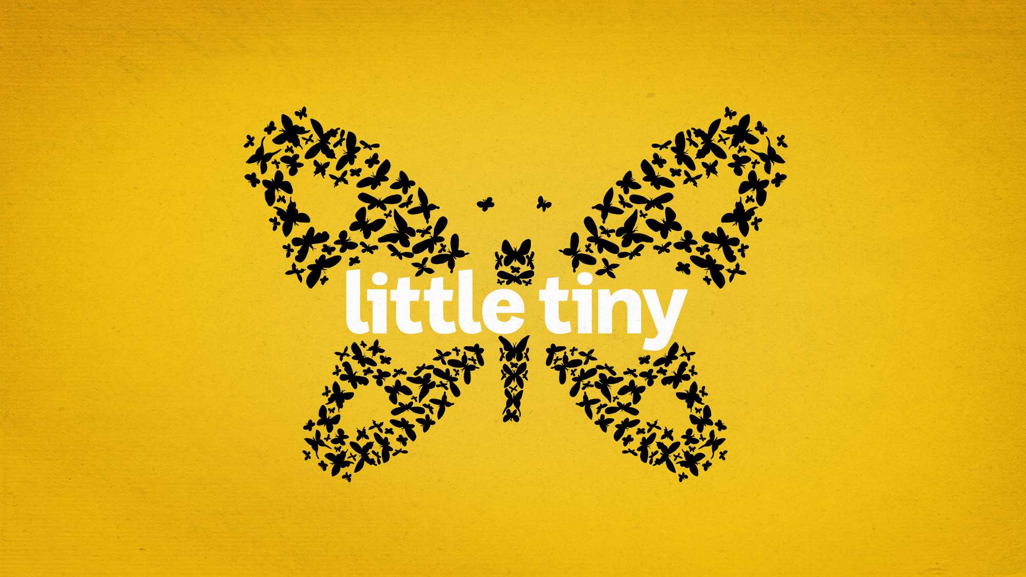 INTRODUCING — Little Tiny