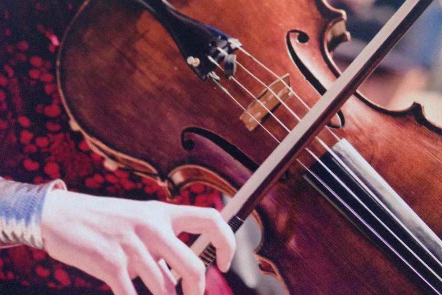 A close up of a viola