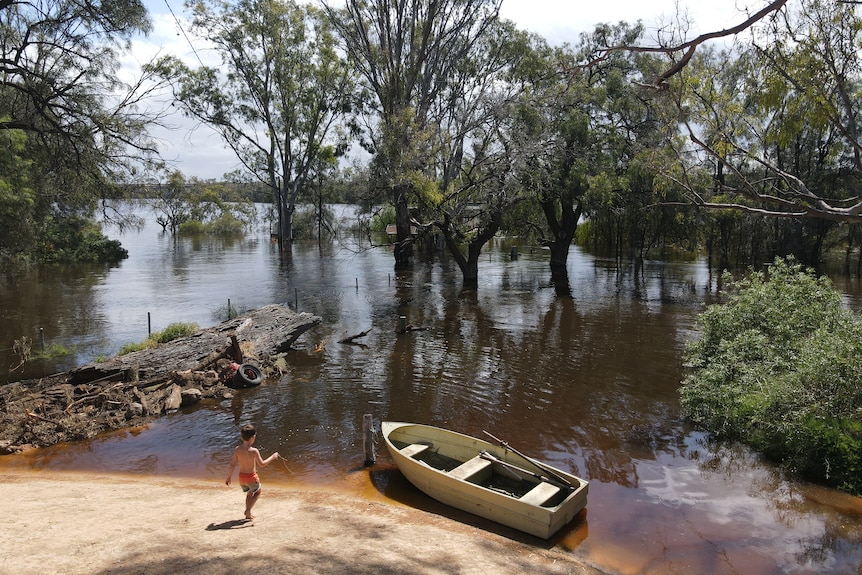 A boy and a boat in front of a big, wide body of water, some trees submerged in water.