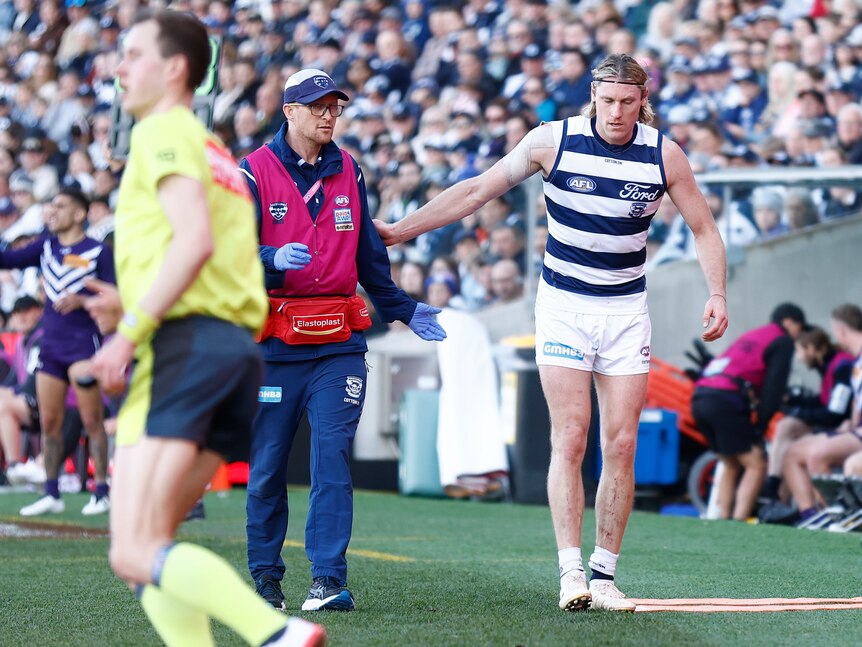 A Geelong AFL player limps on the sideline after coming off during a game with an injury.