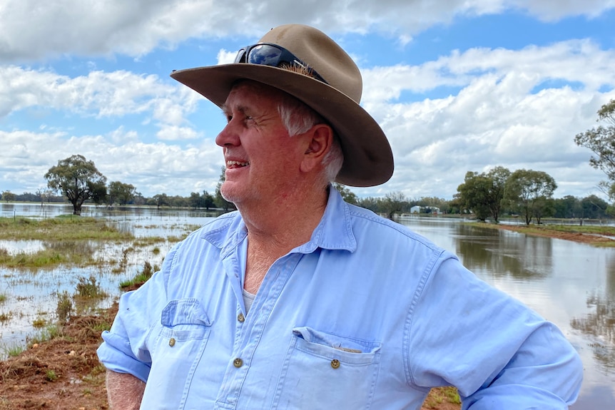 nyngan farmer looks over at flooded property