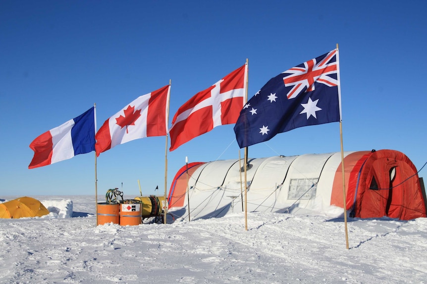 Four flags raised in the ice next to a camp.
