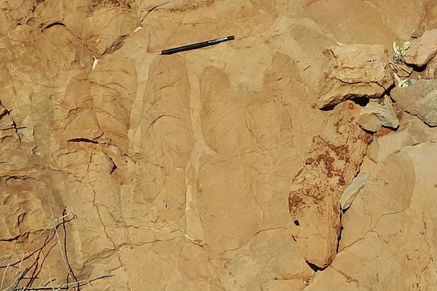 photo of a rock with a pen