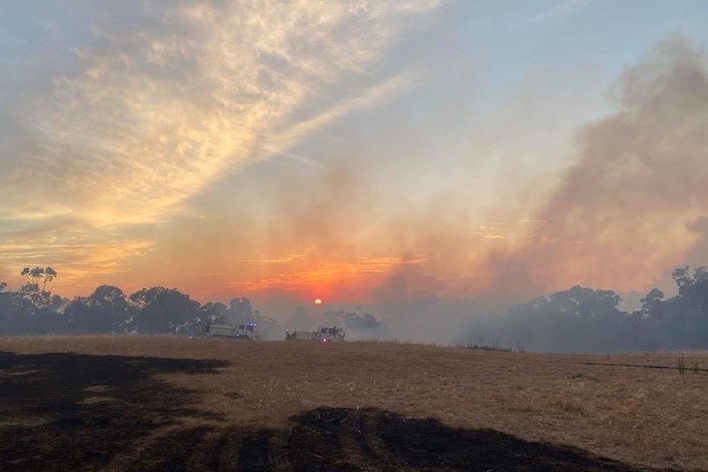 A paddock with a bushfire and smoke in the background