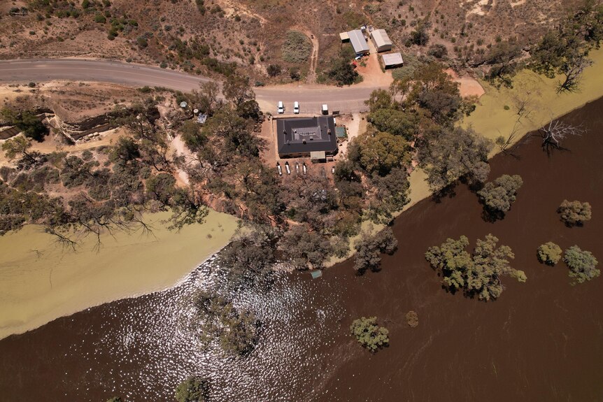 An aerial photo showing flooded area with a few buildings and trees
