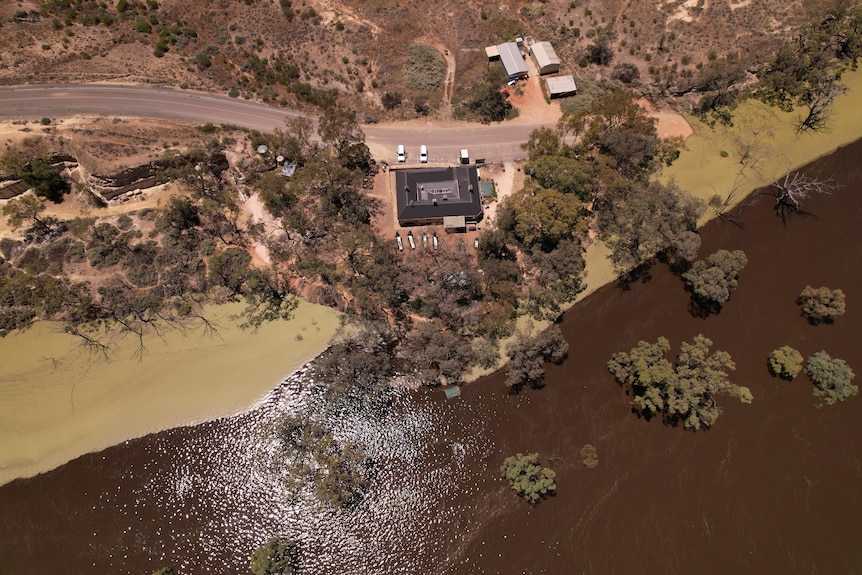 An aerial photo showing flooded area with a few buildings and trees