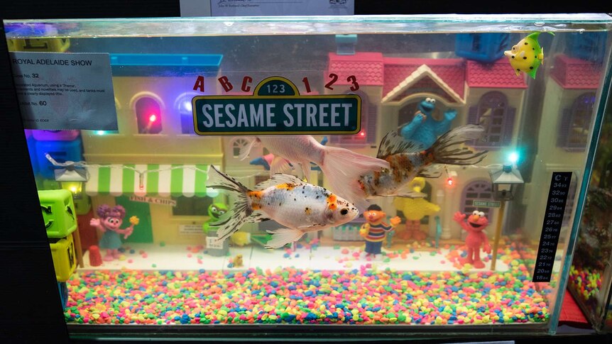 Sesame Street aquarium at the Royal Adelaide Show