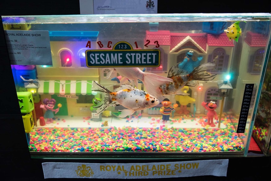 Sesame Street aquarium at the Royal Adelaide Show