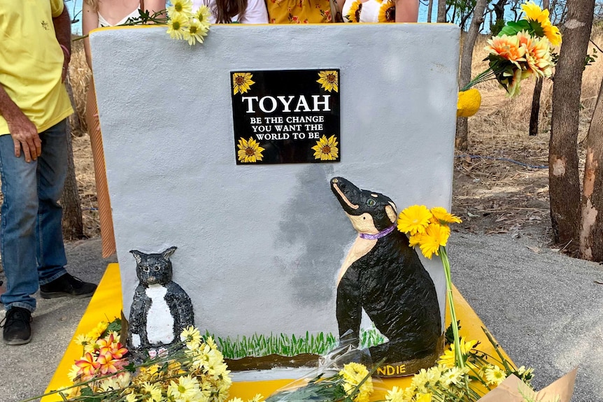 A plaque in memory of Toyah Cordingley with yellow flowers and statues of two dogs.